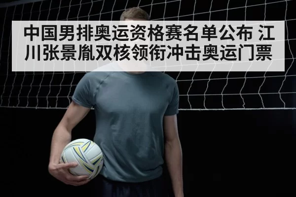 chinese male volleyball team