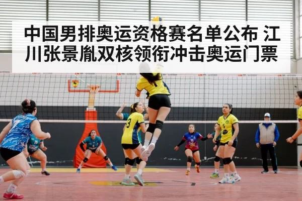 volleyball match indoor